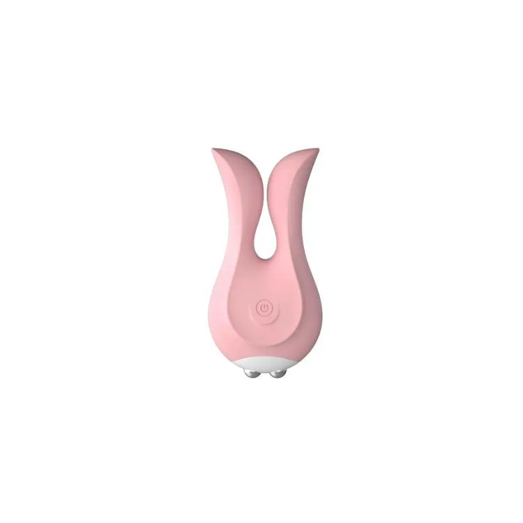 Funky - Lapin design
