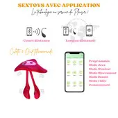 Skoup APP 1