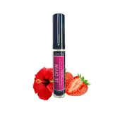 Le Divin Gloss