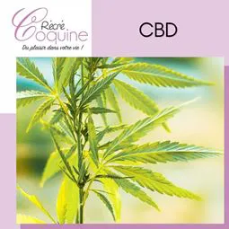 CBD